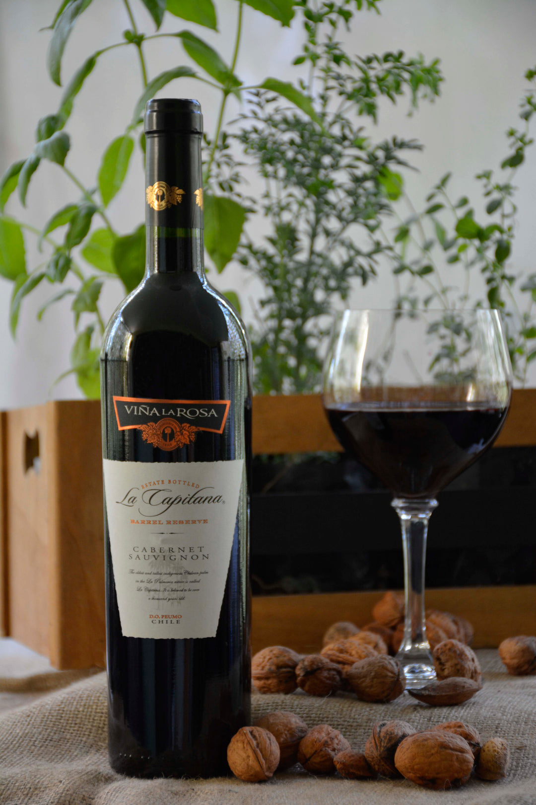 La Capitana Cabernet Sauvignon