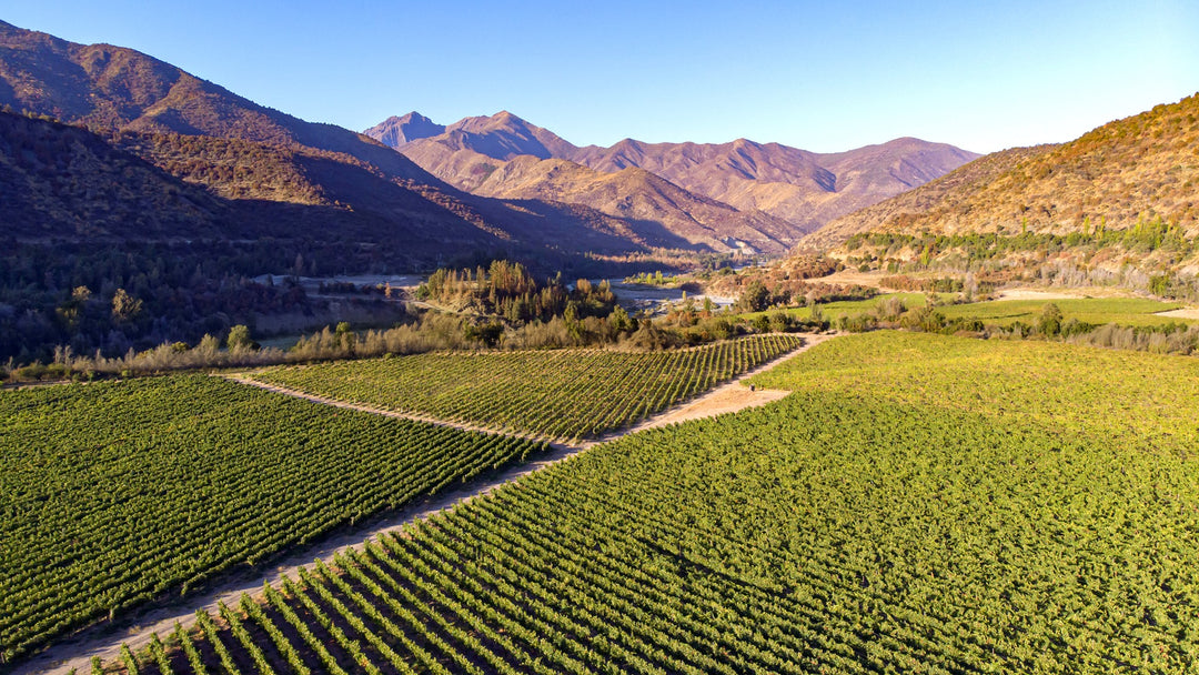 Aerial view of the Calyptra Vineyard, showcasing lush green vineyards nestled between rolling mountains under a clear blue sky.