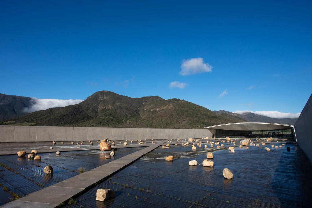 Modern architectural design of the VIK Vineyard winery, featuring a reflective water installation with scattered stones, set against a backdrop of lush green mountains under a clear blue sky.